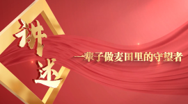 麦田.png