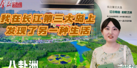 八卦�?.png