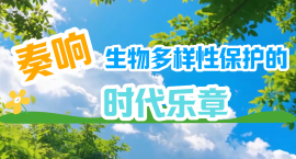 植物�?.png