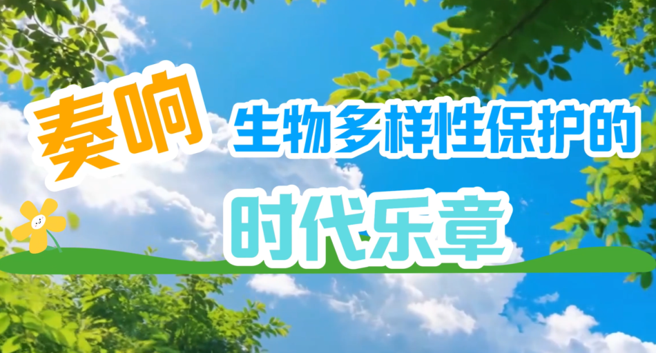 植物�?.png