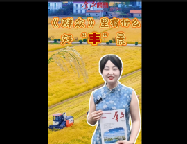 丰收.png
