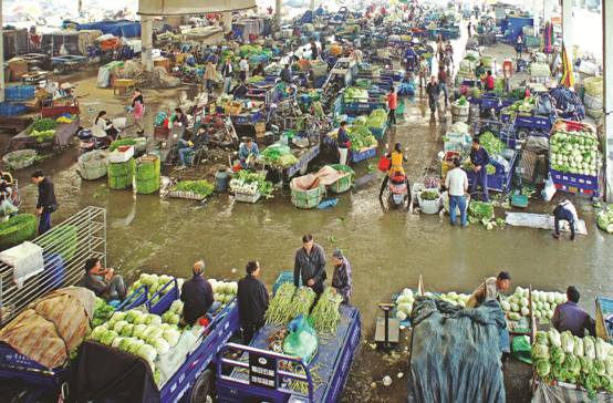 1  好大一个菜蓝子(凌家塘市场蔬菜区交易场景。此交易区是凌家塘的龙头区，年交易量22.67亿公斤，占全场的50%以上，总占地9万平方米。主要经营各类蔬菜，按经营项目分为精品区、客菜大棚区、地产菜区、干货区等经营区域。.JPG